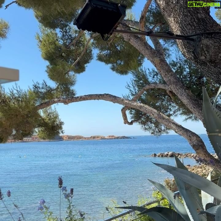 Clarysse Pereira - 27.7K Likes - Week-end à Bandol ☀️