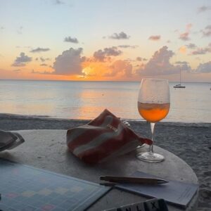 Clémence Botino Instagram - Les Caraïbes 🏝️