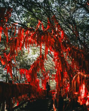 Copter Panuwat Kerdthongtavee Instagram - China Hunan Trip Recap 🇨🇳

เป็นทริปที่รู้สึกประทับใจ และ สนุกมากๆ 
อาหารอร่อย เดินทางรถสาธารณะไม่ว่าจะเป็นรถไฟความเร็วสูง เรียกรถผ่านแอพ รถไฟใต้ดินสะดวกหมด ค่าครองชีพโอเคเลย
เจอสภาพอากาศแทบครบจบในมณฑลเดียว เย็น ร้อน ฝน 

ที่สำคัญ ธรรมชาติ สวยแบบเหมือนไม่มีจริง!! เกินเบอร์สุดๆ คุ้มค่าที่ได้มาเห็นทุกๆ สถานที่ด้วยตาตัวเอง 

ปล. ถ่ายรูปไว้เยอะมาก ลงยังไงก็ลงไม่หมด 5555