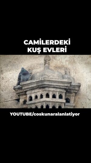Coşkun Aral Instagram - Size hem soğuk kış günlerini hem de merhametimizi hatırlatacak eski bir videomuzla geldim.

#KuşEvleri videosunun tamamı Youtube’da #CoşkunAralAnlatıyor kanalında. Bağlantı hikâyede ve profilde.