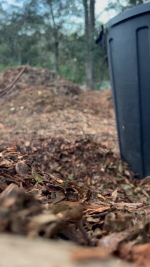 Costa Georgiadis Instagram - Mulch  gotta lotta live, a wholelottalove for this valuable skin of landscape life. Sorry the framing could have been better but hey its beautiful however which way i look at it. Whats your mulch story?  #mulch  #communitymulch #