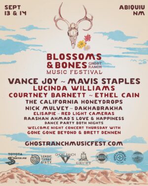 Courtney Barnett Instagram - ✨✨✨ @tamsoundsummit @nelsonvillefest @ghostranchmusicfestival @bumbershoot @pickathon @outofspaceconcerts 
Photo by @poonehghana 
Nelsonville poster by @twrushing available to buy at festival 
Ticket info at www.courtneybarnett.com.au/tour