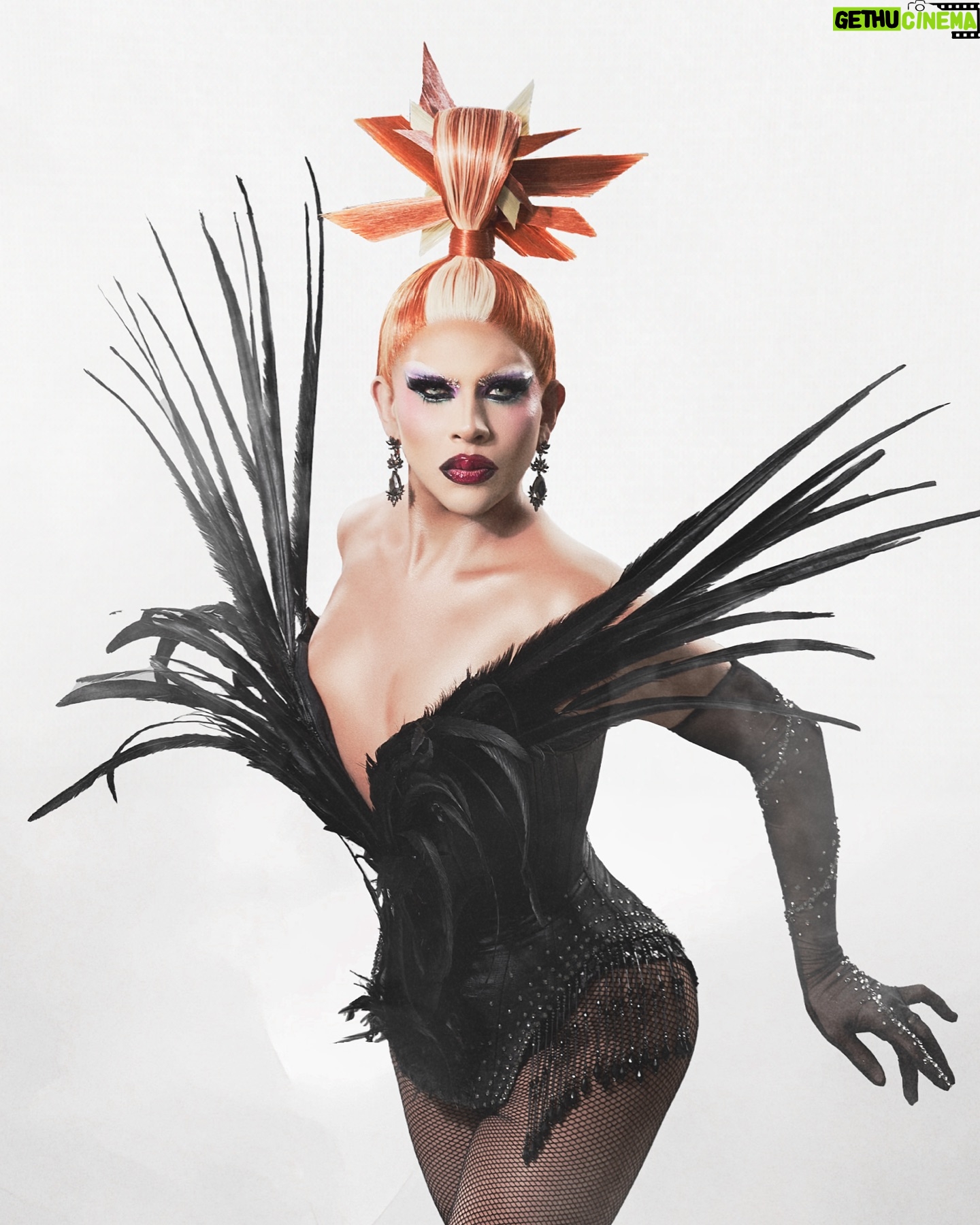 Cristian Peralta - 6.6K Likes - Ya tienes tus accesos para esta próxima @rupaulsdragcon en L.A California! Emoción al 100, siento que voy a otro concurso 🤣😍😍😍😍😍😍😍😍😍😍😍 @cristianperaltatranformista @dragracemexico @wowpresentsplus Fotografía @rubendeleonhdz📸📸📸📸📸 MAKEUP @davidromancaracterizacion 💄 Peluca @evelinecarmin 🌈🌈🌈🌈🌈🌈🌈 #cristianperaltatransformista #cristianperalta #cristianperaltatransformistapadredefamiliaoficial #dragrace #rupauldrsgrace #dragcon #dragcon2024 #tureina