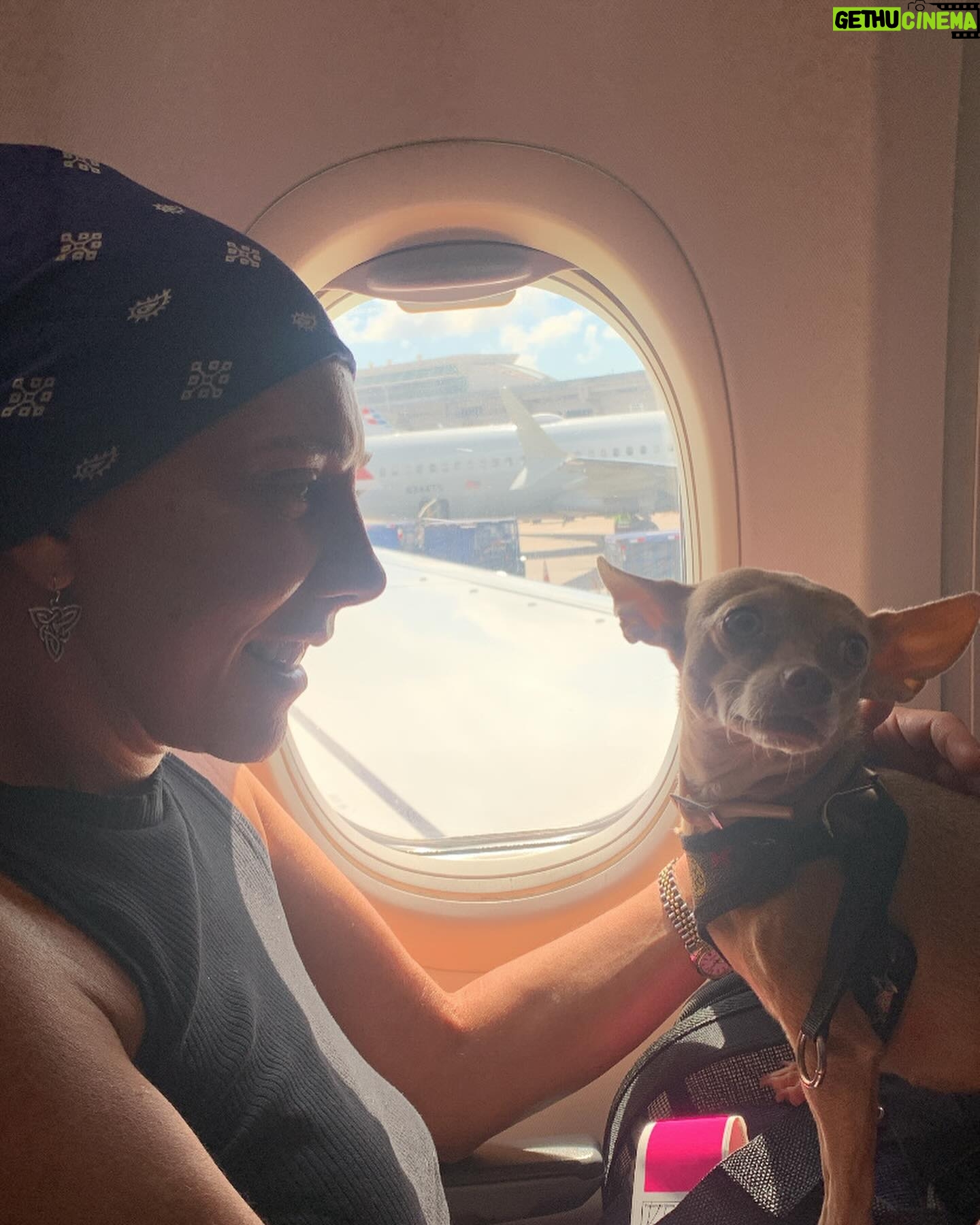 Cynthia Klitbo - 11.9K Likes - Mi Carmelita #perros #mascotasfelices