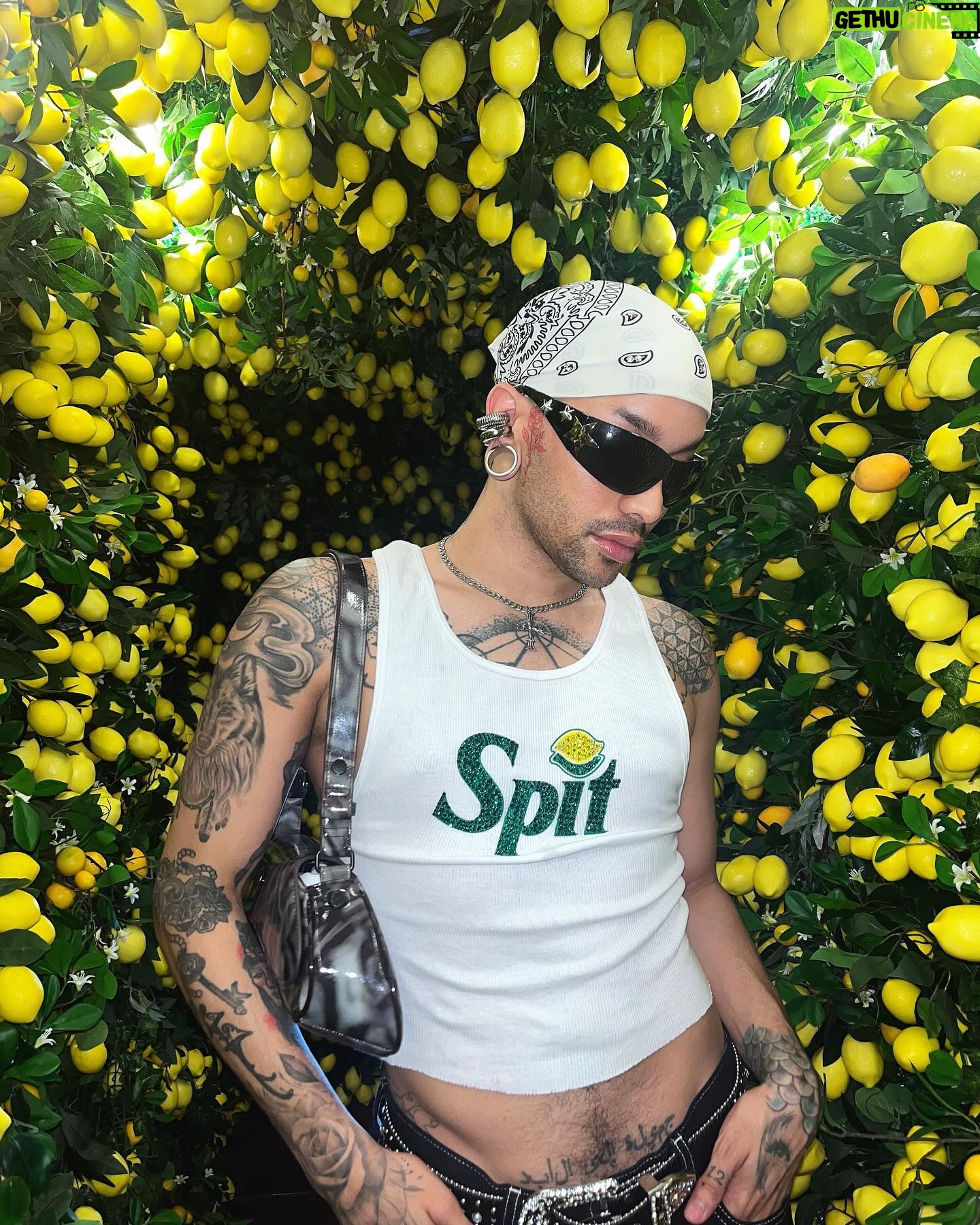 Dahlia Sin - 3 Likes - Well, Yes! 🍋
