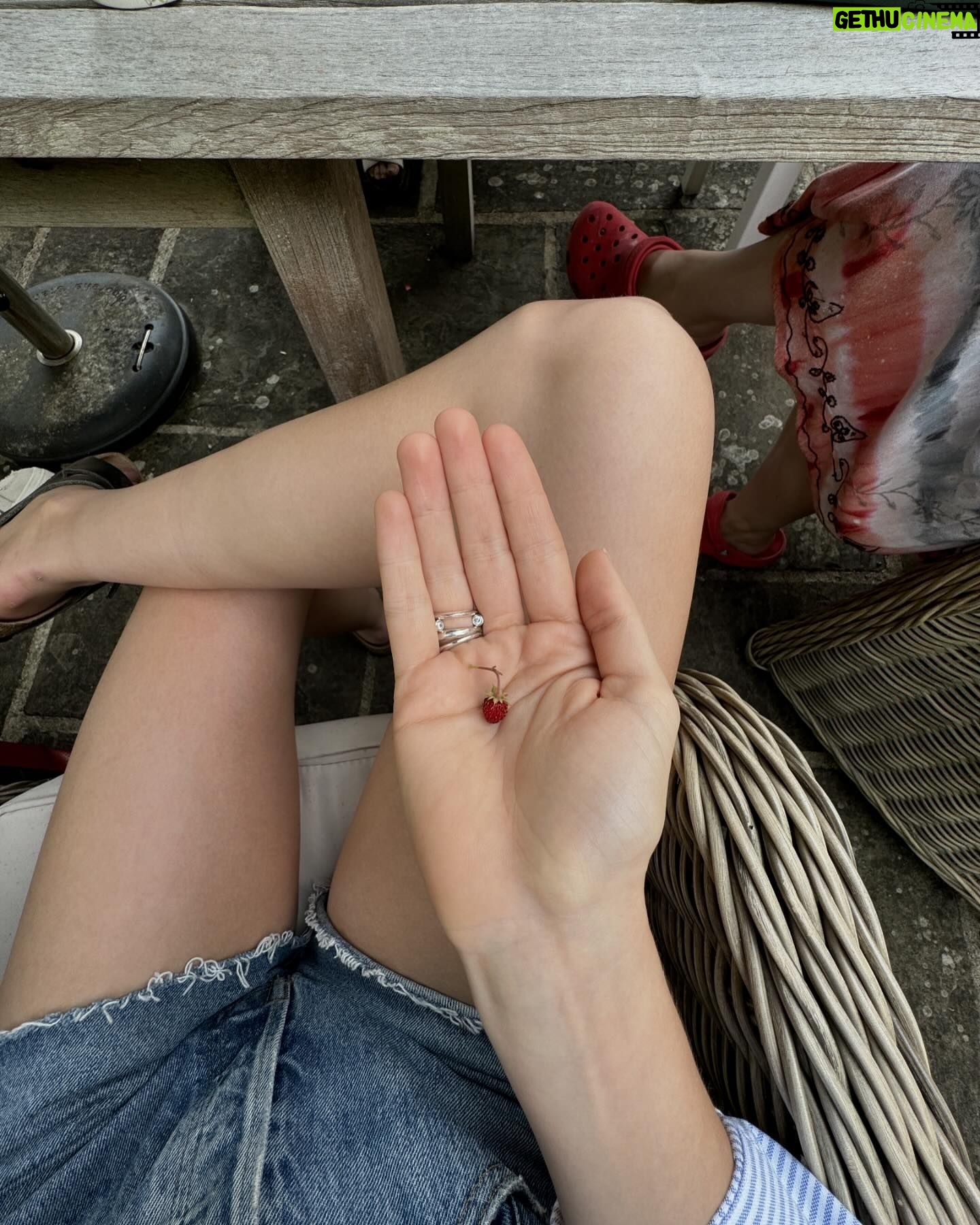 Daisy Edgar-Jones - 501.7K Likes - Random mix of my occasionally mindful, big time cutesie, limited in demure ~ summer ~ 🌼