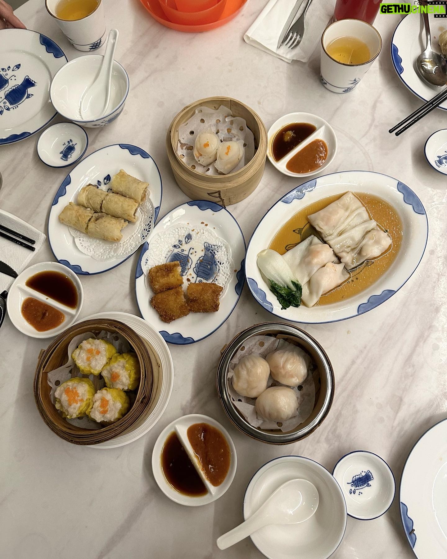 Daler Yusuf - 3 Likes - Best Halal Dim Sum and Chinese Cuisine in KL!
@TheStarhillDining @alyfegroup
#TheStarhillDining #TSDFoodies
#LukYuTime #HOTTastemakers
#ALYFEgroup #ALYFEtalents
#ALYFExYTLhotels