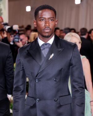 Damson Idris Instagram - King Charming 🥀

#MetGala
@prada 
@bulgari