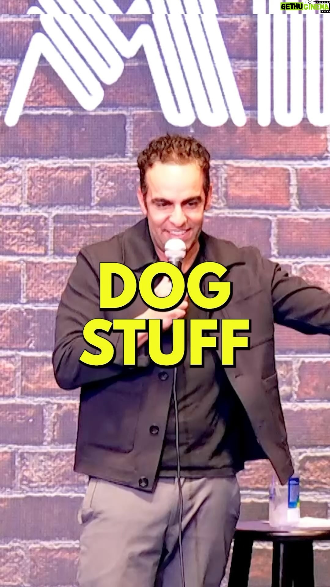 Dan Ahdoot - 197 Likes - Too many dogs. #crowdwork #dogsofinstagram #dogs #dating #comedy