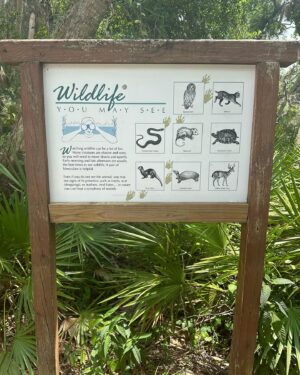 Dan Donegan Instagram - I wonder how many sick bastards it took to justify them having to make a sign for molesting alligators? I didn’t know this was a problem! I’m sure there’s other animals that may be easier to accomplish this disgusting act. I guess it’s the thrill of the chase 🐊