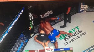 Daniel James Instagram - Great @pflmma fight for @danieljames_predator!
