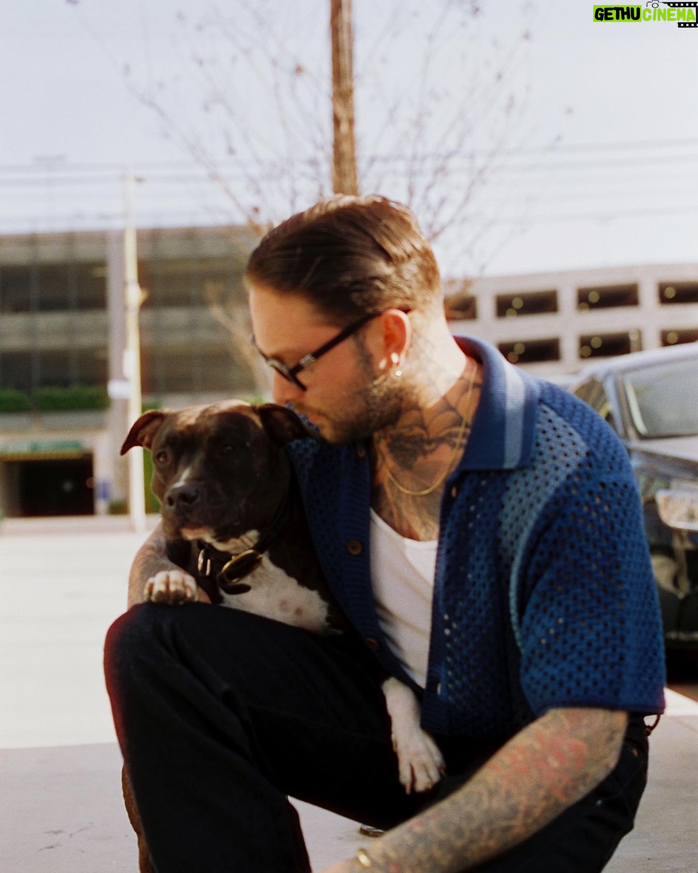 Daniel Snooks - 1.1K Likes - The big bad wolf lol