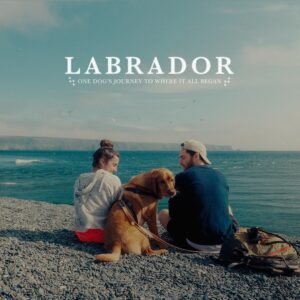 Danny Gevirtz Instagram - Just posted one of my favorite videos I’ve ever made to YouTube. 

We took Sansa (a Labrador Retriever) back to her origins to swim in the Labrador Sea off the coast of Newfoundland. 

If you’re a dog lover, give it a watch. Link in bio / story.

Thank you @tomrosenthal1 for graciously allowing me to use your music in the film.