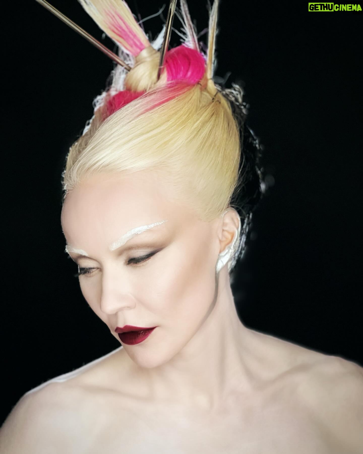 Daphne Guinness Wiki Biography Age Photos Spouse And More Daphne Guinness Wiki Biography Age Photos Spouse And More