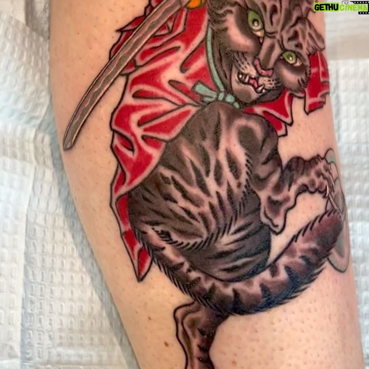 Darren Brass - 208 Likes - Warrior Bengal Cat for the win ‼️Taking down the evil half & half safety seal ☠️🥛🗡️ ‼️#tattoo #cat #cattattoo #bengalcat #traditionaltattoo #japanesetattoo #colortattoo #tattooart #tattoostyle #tattooartist #tattoolife #tattooidea #tattoolife