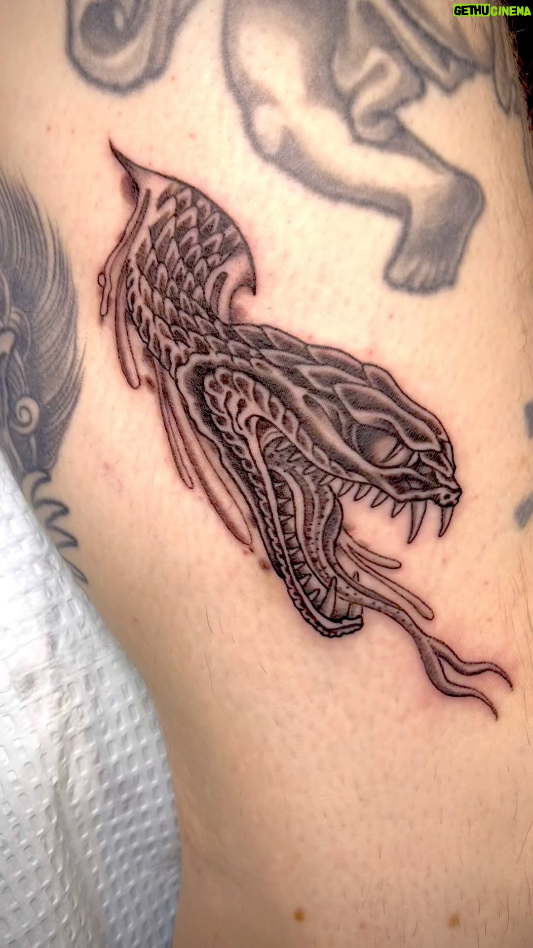Darren Brass - 308 Likes - Recently, I had the opportunity to spend the day with my dear old friend @jamiebiss and what an AWESOME day it was … 🙏🏼👊🏼🖤💯‼️‼️#friendship #friends #family #familia #cthardcore #colortattoo #traditionaltattoo #instagood #tattoogirl #blacktattoo #love #blackworktattoo #bodyart #tattooedgirls #drawing #neotraditionaltattoo #me #brassandgrey #tattoodo #tattoosofinstagram #artwork #instagram