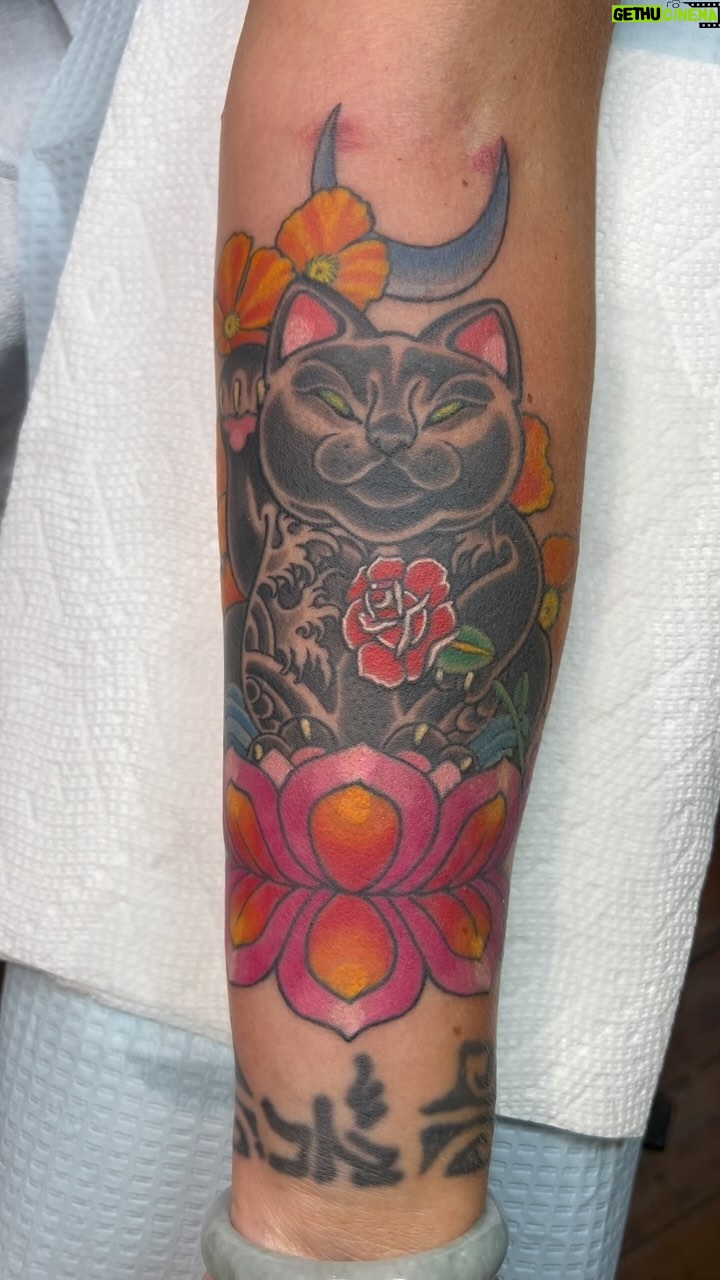 Darren Brass - 370 Likes - Finished this one up yesterday @brasscitytattoo 🐈⬛ #blackcat #traditionaltattoo #cattattoo