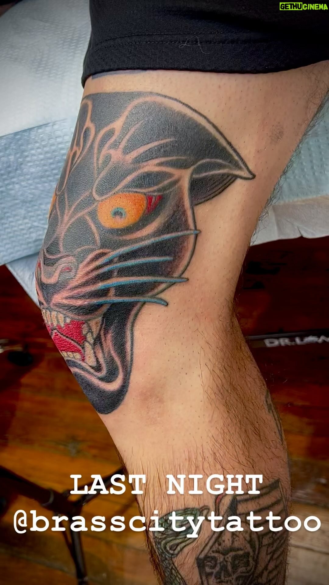 Darren Brass - 363 Likes -