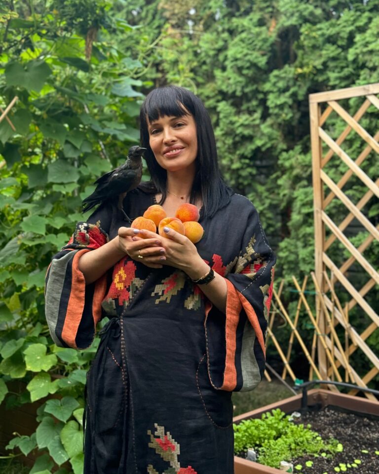 Kokrak uchlari videosini korsatadi