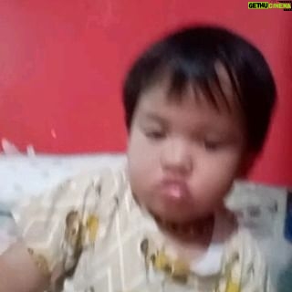 Daus Mini - 548 Likes -