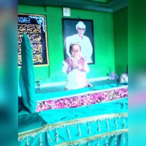 Daus Mini Instagram - 