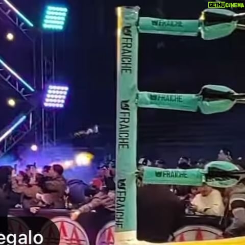 Dave The Clown - 603 Likes - El capitán llegó !!! Y va para todos … cuando vean una bandera negra con un pirata con nariz de payaso …. CORRAN por su bien . #tecargóelpayaso