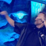 David Guetta