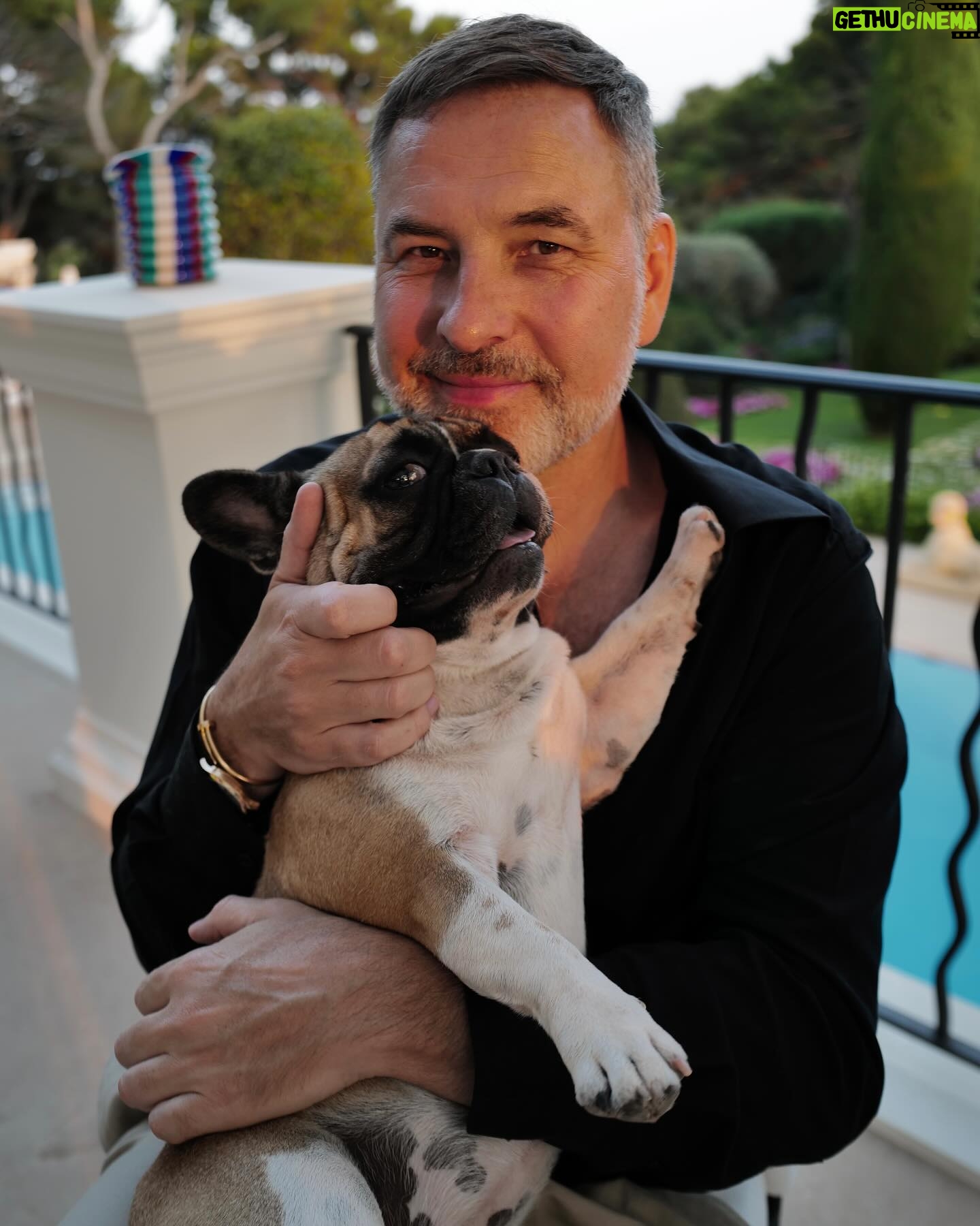 David Walliams - 7.8K Likes - Heaven.