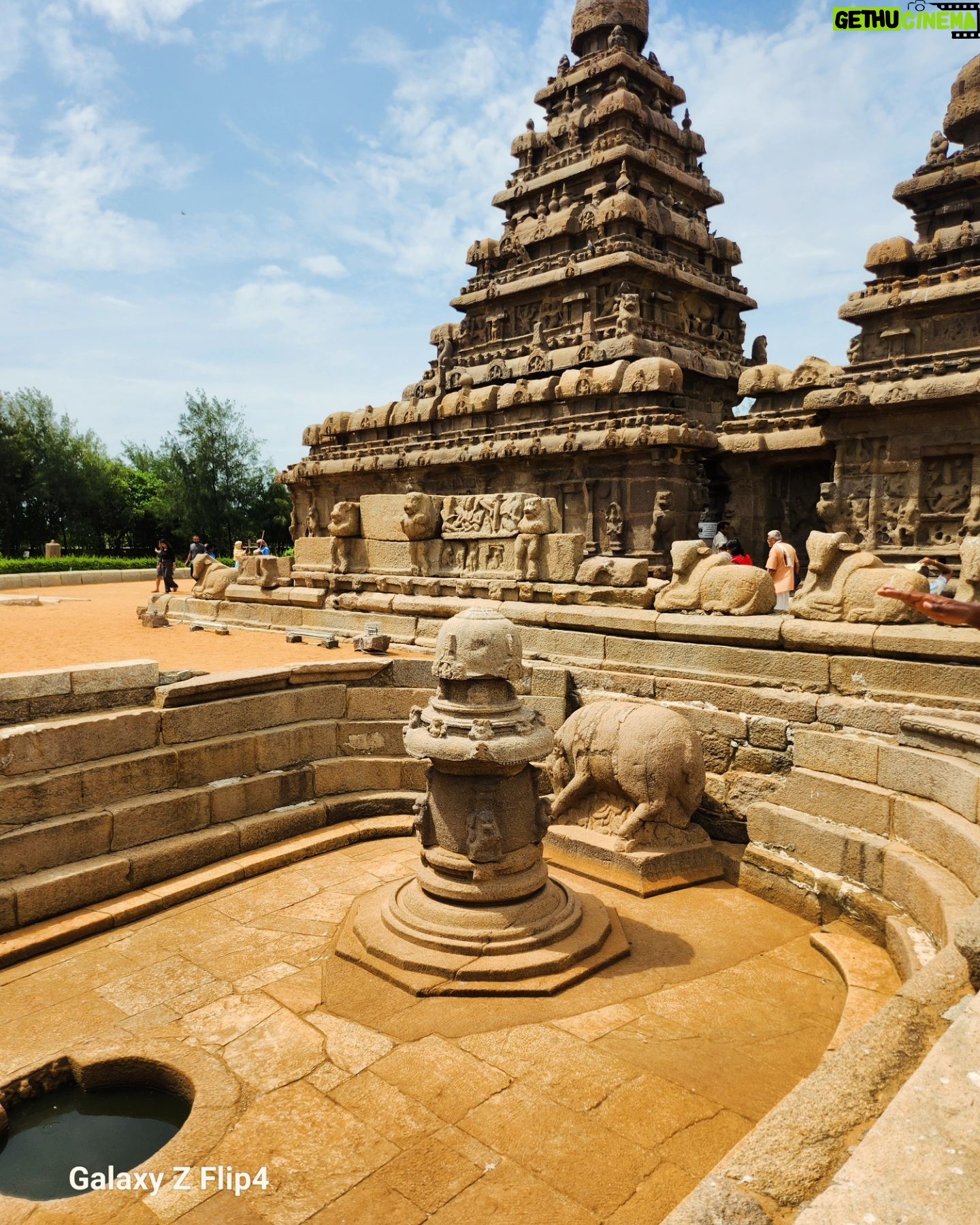 Deepika Tripathy - 2.5K Likes - People don't take trips.. trip's take people š§æā„ļø