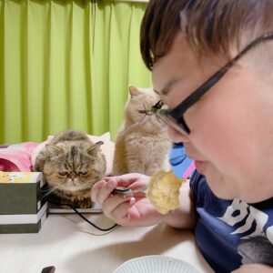 Dekakin Instagram - 深夜にお菓子を食べたらブチャ吉とミニたんの飯テロになってました、、、😆笑

食べてるのは姫路で買った、ラストサムライの撮影の時にトム・クルーズが爆買いしたバームクーヘンです。

#cat #ねこのきもち