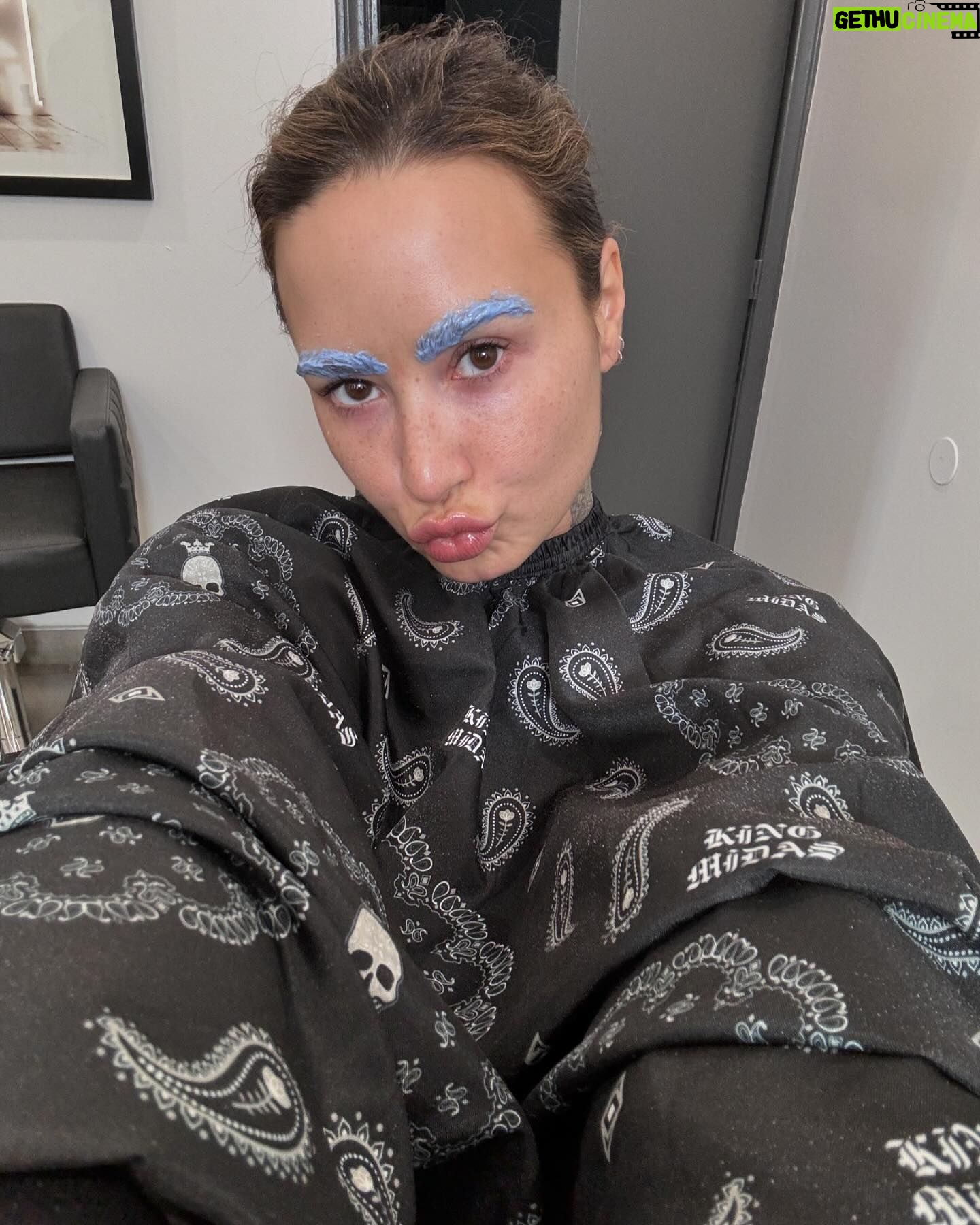 Demi Lovato - 1 Million Likes - PICKLE 🥒🐶🥹