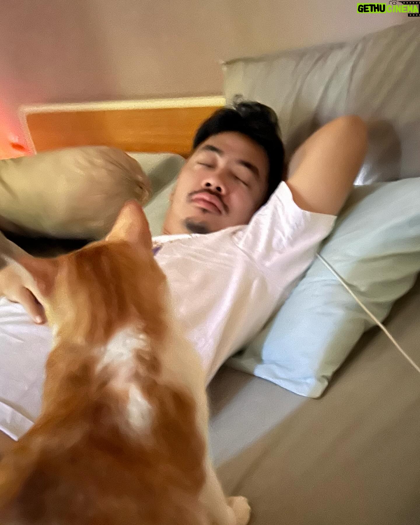 Dennis Adishwara - 196 Likes - Ritual bangun tidur :
Setiap pagi olahraga ❌
Setiap pagi menyerap sari-sari kegemasan ✅
Ya, mereka adalah petugas alarm manual organik.
#cats #kochengoren #kucing #catsofinstagram