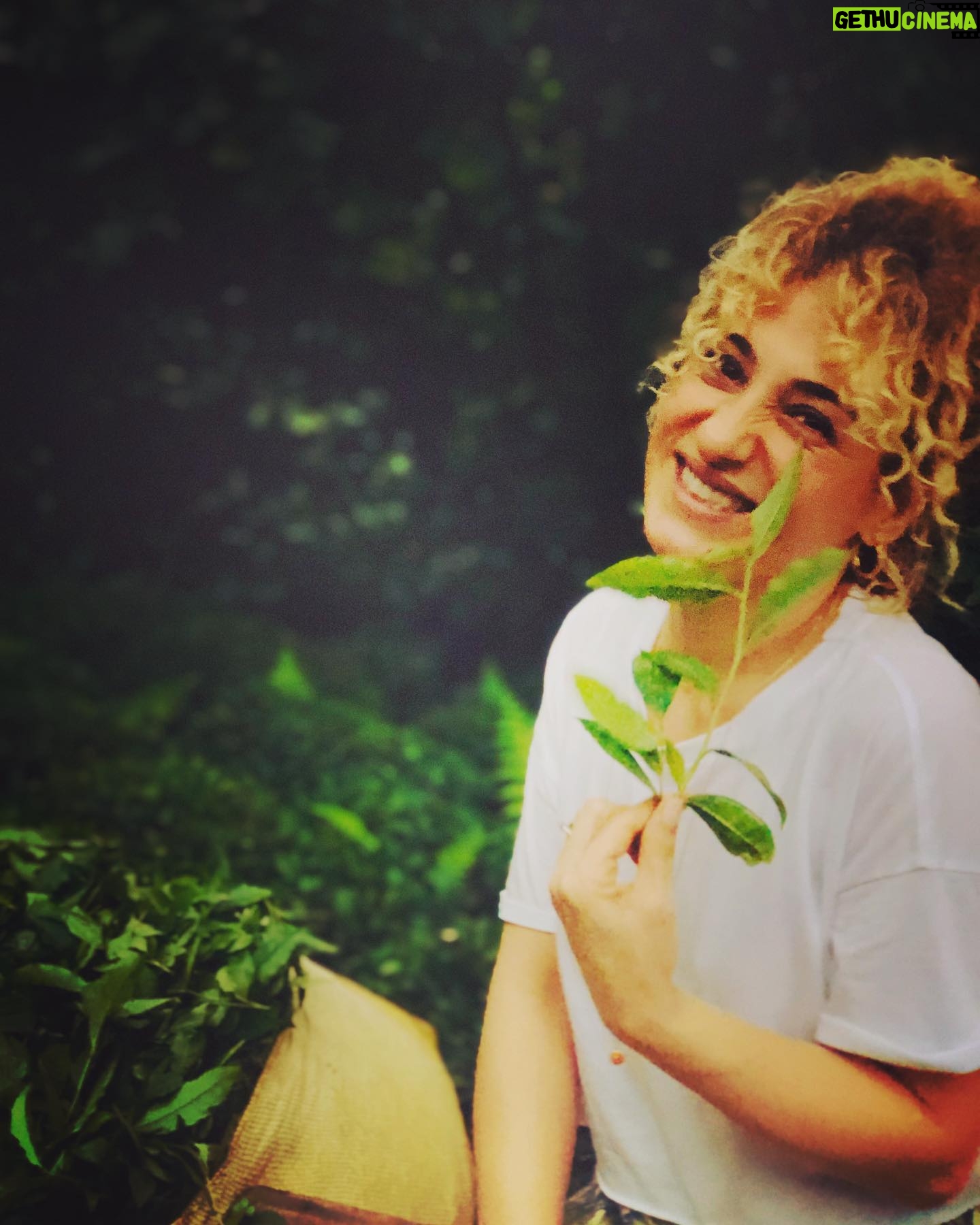 Derya Karadaş - 6.7K Likes - Çay 💚