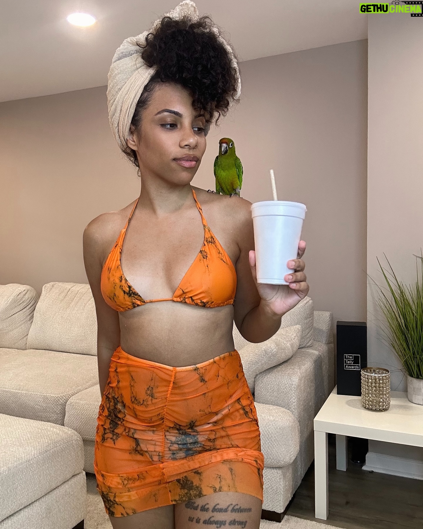 Diannisa Hernandez - 3 Likes - Morir soñando 🦜🍊🧉