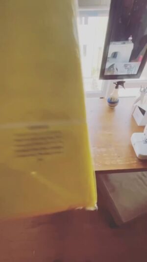 Dida Ritz Instagram - Swarm🐝🐝🐝🐝🐝🐝🐝🐝🐝🐝🐝