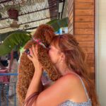 Didem İnselel