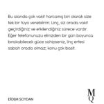 Didem Soydan
