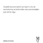 Didem Soydan