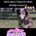 Didem Taslan