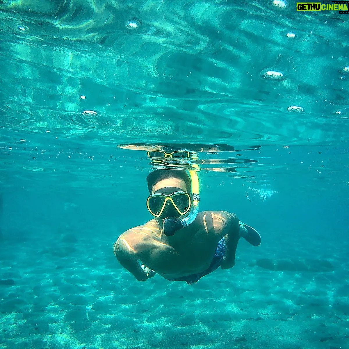 Diego Plaza - 2.1K Likes - Sabor a mar 🌊