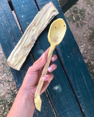 Dilara Mücaviroğlu Instagram - Limon Ağacından! 🍋🌳