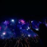 Dimitri Vegas