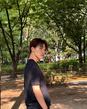 Dino Instagram - 🌳