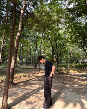 Dino Instagram - 🌳
