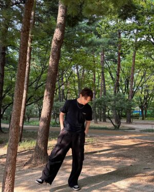 Dino Instagram - 🌳