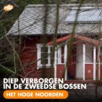 Dionne Stax