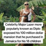 Diplo