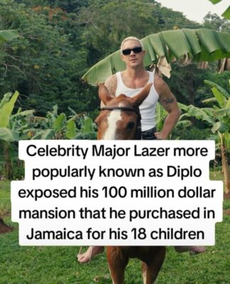 The Ultimate Collection: Diplo's Top 10 Instagram Photos