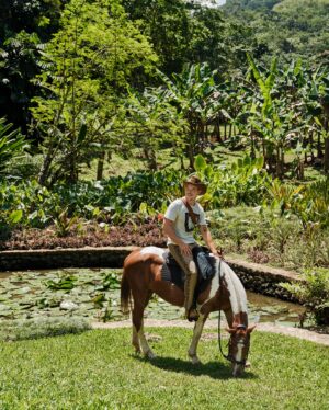 Diplo Instagram - I’ve worked on a lot of albums, a lot of events, some movies & some other shit I can’t even remember.. but I really think the greatest project i’ve been able to make happen was this creative space in Jamaica 🇯🇲… the island has given me so much inspiration and was the genesis for @majorlazer where we took a bit of dancehall to the world and beyond.. collaborating with so many local legends from bunny wailer to vybz kartel & more.. But building a home .. a studio .. a refuge.. took so many years and so much time and patience. if it wasnt for my team, this would still be just a brutalist jungle dream of mine.. but from the first time I hiked from the farm to the hill to the swamp (we turned it to a little pond) rescuing horses and planting sweet potatos and pineapples.. I originally thought it would be a good place to ride out the apocalypse and learn to farm, but it turns out this place is going to become a home .. a studio .. a creative refuge for many artists. It feels like I dropped a masterpiece of an album, and I hope it gets used to make a lot of legendary music because that is what this island does.

Thank u @archdigest