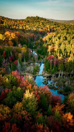 Dominic Arpin Instagram - L’automne à son plus beau dans les Cantons-de-l’Est! 🍁

#estrie #automne #quebec #drone #dji